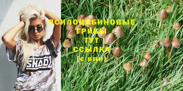 СК Верея