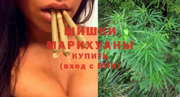 СК Верея