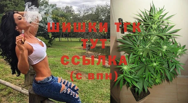 СК Верея